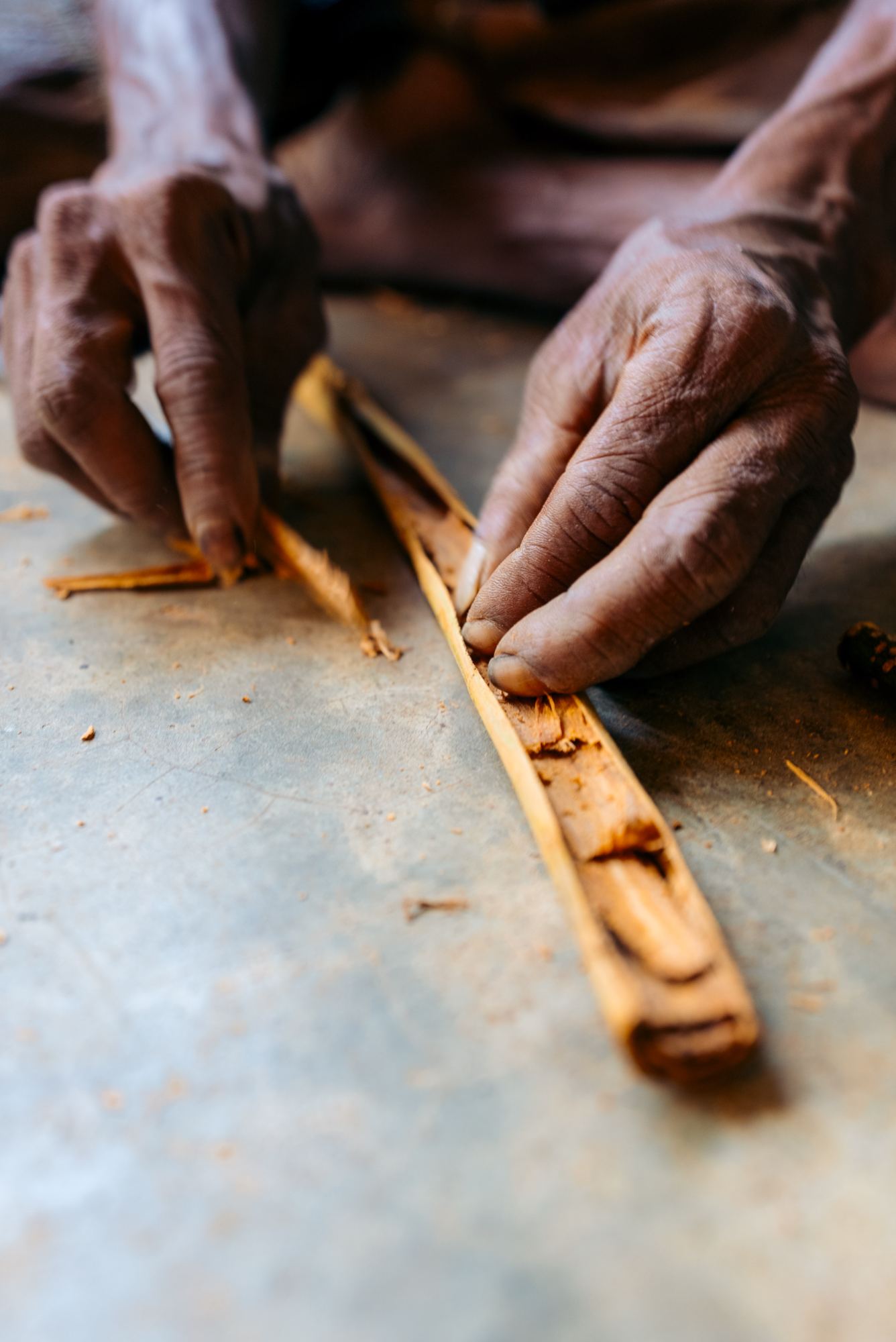 A hand-rolled bundle of Ceylon cinnamon